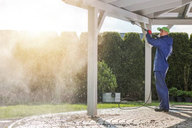 Best Gutter Cleaning  in Citrus Park, FL