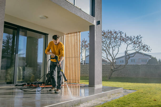 Best House Exterior Washing  in Citrus Park, FL